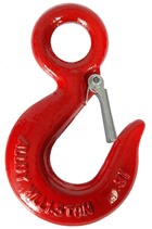 G70 Eye Hook with Latch