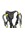 PETZL Avao Bod Fast C71 Harness