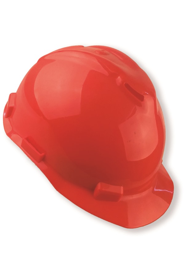 LifeGear Forestry Safety Helmet with Ear Defenders and Visor GDFS