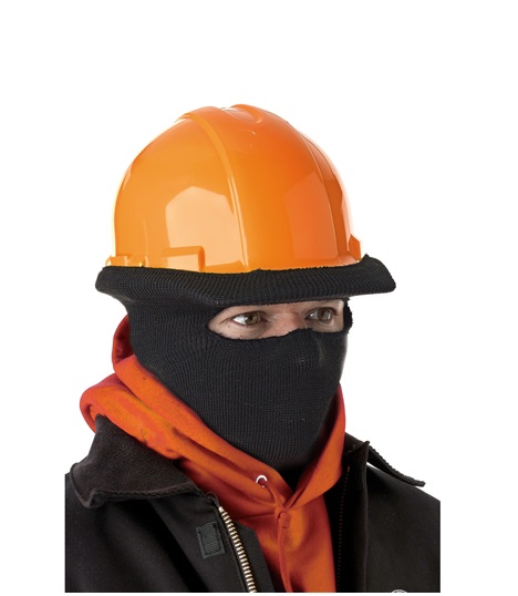 protective face cap