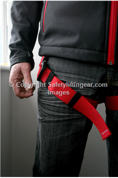 harness strap