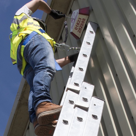 ladder regulations