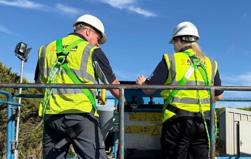 Summer Promotion on our Cherry Picker Kit!