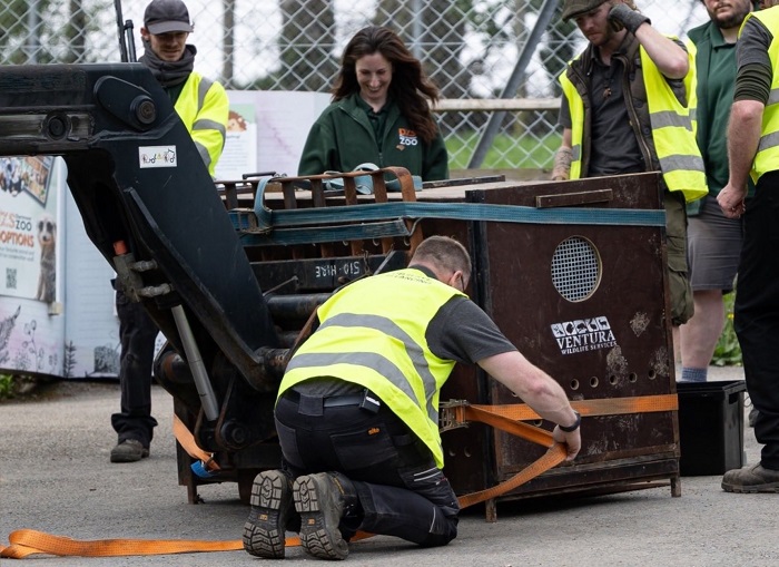 Load Restraints for Transporting Live Animals