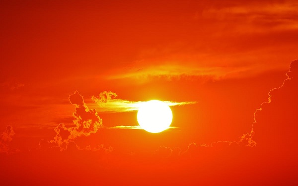 5 Summer Safety Tips for Adults at Work