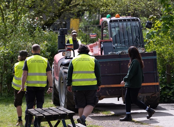 Transporting a live jaguar at Dartmoor Zoo